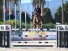 jumper Henkie-Penkie (KWPN (Royal Dutch Sporthorse), 2012, from Plot Blue)