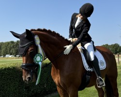 dressage horse Belvedere (Hanoverian, 2011, from Belstaff)