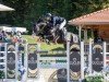 Springpferd Mc Crosskeys (Irish Sport Horse, 2016, von S Creevagh Ferro)