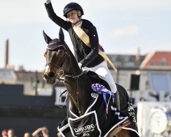 jumper Cortina III (Holsteiner, 2010, from Quintender 2)