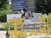 jumper Charisma 282 (Holsteiner, 2014, from Connor 48)