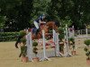 jumper Cupido 114 (Oldenburg show jumper, 2011, from Ci Ci Senjor Ask)