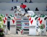 stallion Castlefield Cornelious (Oldenburg, 2011, from Cornet Obolensky)