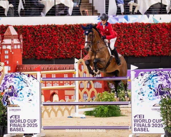 broodmare Mimosa vd Rollebeek (Belgian Warmblood, 2012, from Castelino van de Helle)