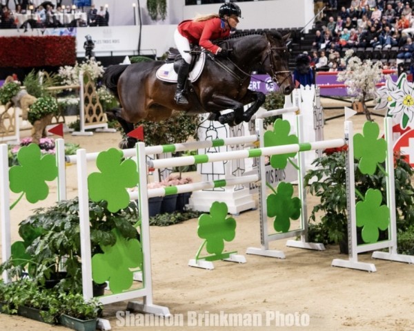 jumper Bull Run's Jireh (Holsteiner, 2014, from Uriko)