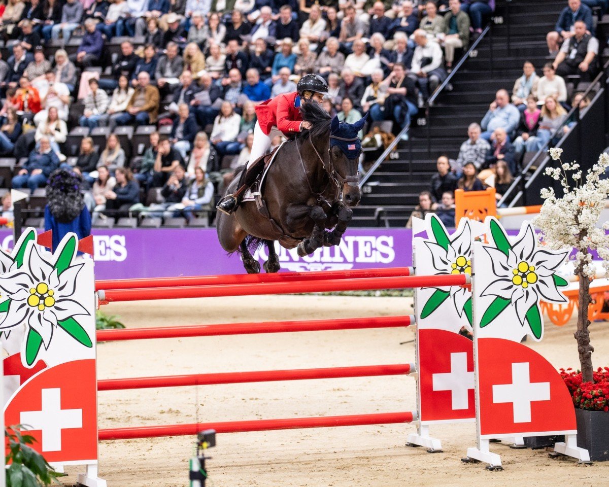 Springpferd Gelvera (KWPN (Niederländisches Warmblut), 2011, von Quality Time)