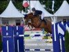 jumper BEC Romanov take two (Irish Sport Horse, 2018, from Romanov)