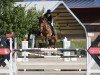 jumper TMS PIENAAR (Irish Sport Horse, 2018, from I'm Special de Muze)