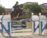 jumper Bec Red Arrow (Irish Sport Horse, 2016, from Cinsey)