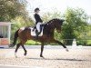 dressage horse Quentin von Nymphenburg (Hanoverian, 2015, from Quaterhall)