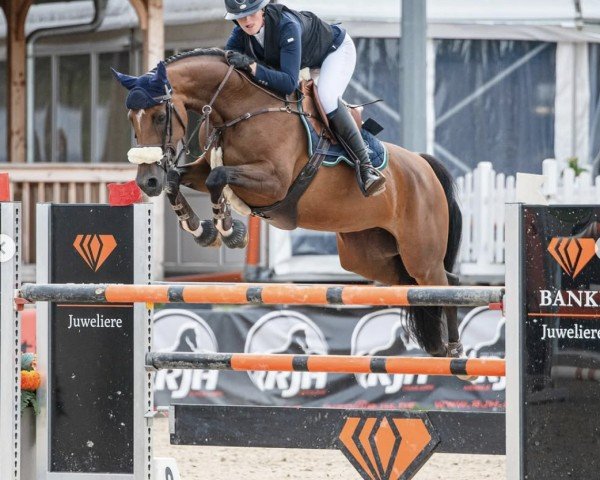 jumper Keatingstown Leia (KWPN (Royal Dutch Sporthorse), 2016, from VDL Bubalu)