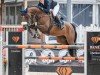 jumper Keatingstown Leia (KWPN (Royal Dutch Sporthorse), 2016, from VDL Bubalu)