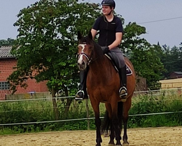 jumper Rubina vom Hofgut Beutig (German Sport Horse, 2004, from Rutowski)