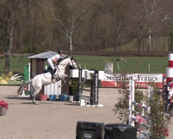 Reitturnier Westergellersen 2025