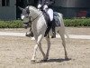 Dressurpferd Patricia (Deutsches Reitpony, 2005, von Papilon ox)