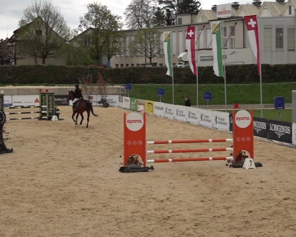 Reitturnier Amriswil 2025