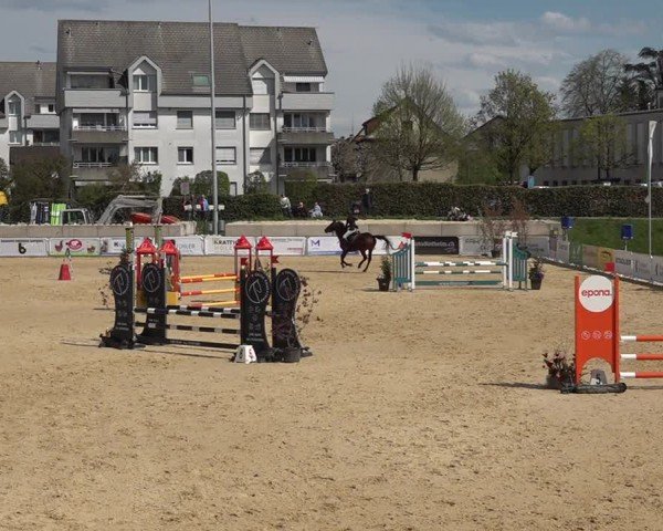 Reitturnier Amriswil 2025
