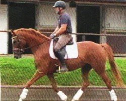 broodmare Leska Bell Boa (Hanoverian, 2009, from Lizitant)