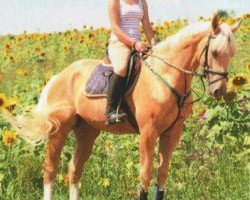 Springpferd Theodore Mosby (Deutsches Reitpony, 2008, von Top Zento)
