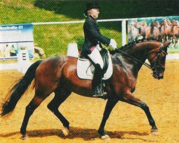 broodmare Weltina 25 (Hanoverian, 2003, from Weltano)