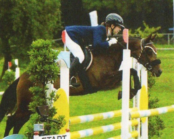 dressage horse Mariano 78 (German Riding Pony, 2005, from Marinello)