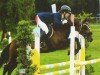 Dressurpferd Mariano 78 (Deutsches Reitpony, 2005, von Marinello)