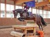 jumper Quality of my Life (Hanoverian, 2012, from FRH Quaid)