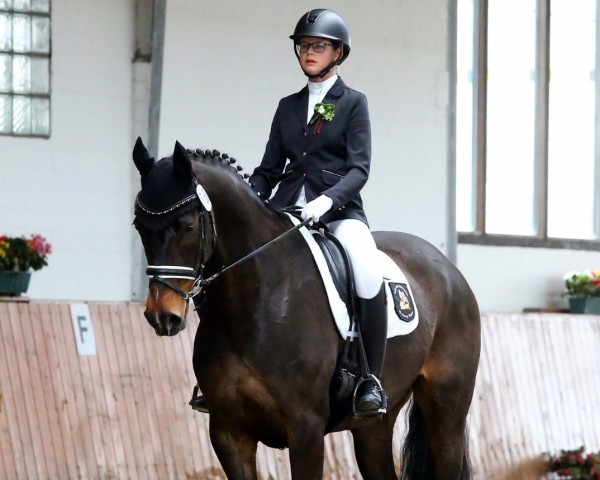 dressage horse Chaconteur (Hanoverian, 2004, from Conteur)