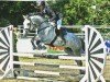 jumper Casimir K (German Sport Horse, 2006, from Casander)