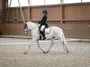 dressage horse Yesterday Dr (Pura Raza Espanola (PRE), 2007, from Quebranto IL)