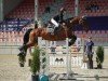 jumper Charmina 3 (Oldenburg, 2007, from Charming Boy 38)