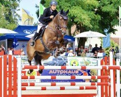 jumper Baltic Balou (Holsteiner, 2015, from Balous Bellini)