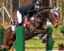 jumper Bella Balou 9 (Oldenburg show jumper, 2019, from Benthen's Balou)