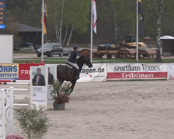 Reitturnier Westergellersen 2025