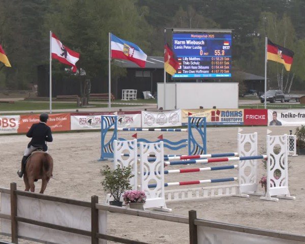 Reitturnier Westergellersen 2025