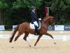 dressage horse Wild Love Woodlander (Hanoverian, 2015, from Wild Child)