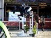 jumper Corvista (Westphalian, 2019, from Conthargos)