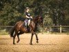 dressage horse Frau Fleur (Westphalian, 2017, from Fürstenball)