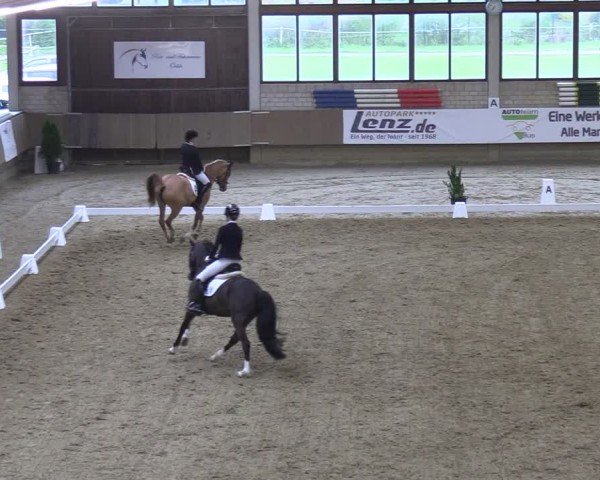 Reitturnier Oelde 2025