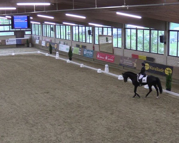Reitturnier Oelde 2025