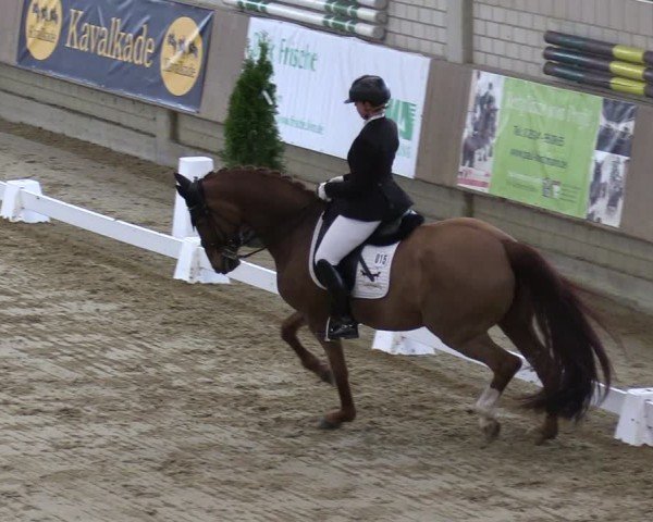 Reitturnier Oelde 2025