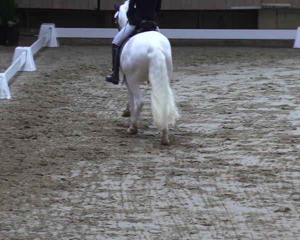 Reitturnier Oelde 2025