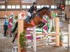 jumper Skylimit (Hanoverian, 2019, from Skyliner 5)