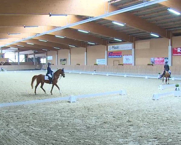 Reitturnier Grafenrheinfeld/Ufr. 2025