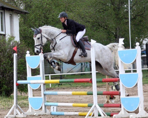 jumper Celtic Rock (Oldenburg, 2013, from Cellestial)