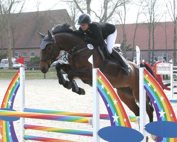 jumper D'Amour du Foret Z (Zangersheide riding horse, 2018, from Dominator 2000 Z)