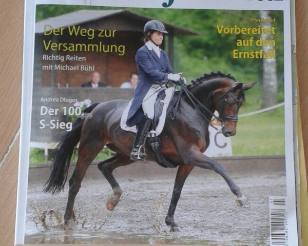 Dressurpferd Flair 210 (Hannoveraner, 2004, von Florencio I)