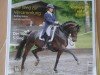 dressage horse Flair 210 (Hanoverian, 2004, from Florencio I)