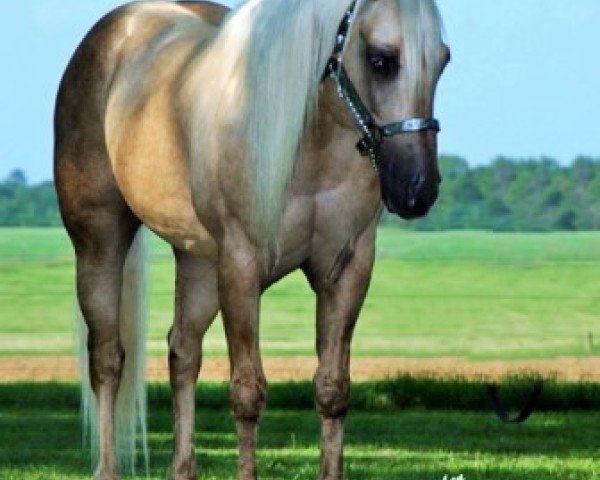 Deckhengst Boggierima Jac (Quarter Horse, 2000, von Boggies Flashy Jac)