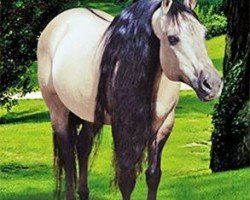 horse Sir Jack Frost (Quarter Horse, 1988, from Hollywood Jac 86)